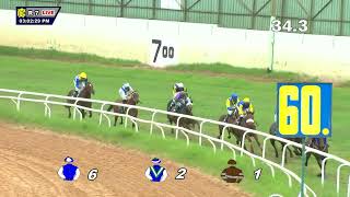 DHANTERAS THE CHAMPION TRAINER CUP DIVI100 [upl. by Chaim]