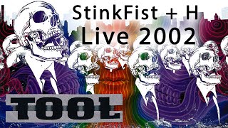 Tool StinkFist  H Live 2002 MultiCam LIVE REMASTERED [upl. by Iron]