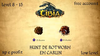 Tibia Hunt de Rotworm em Carlin  XP e Profit  Free Account  Low Level [upl. by Walkling293]