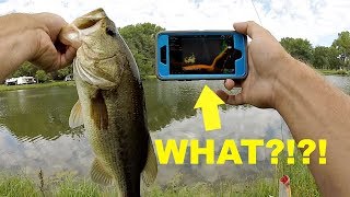 How to Turn Your Phone into a FISH FINDER for Bank Fishing [upl. by Artapoelc]