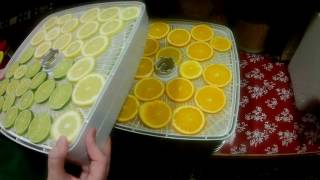 How to Dehydrate Citrus LemonsLimesOranges [upl. by Ainattirb]