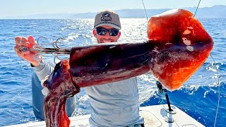 Fishing with Huge Squid as Bait to Catch Something Bigger [upl. by Johnny]