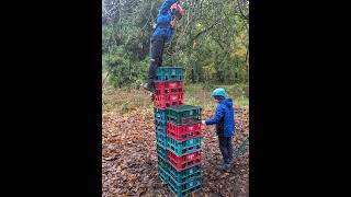 Cubs have Forest fun and Skills day at Derrynoid Forest [upl. by Diena138]