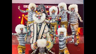 tiger dance  pilivesha  kannada rajyotsava celebration [upl. by Aita569]