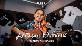 Grandmas  Malinda Herman Documentary  หญิงชรา กะ หมาน้อย  a doc [upl. by Einttirb]