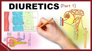 Pharmacology  Diuretics Simplified Part 1 [upl. by Madigan]