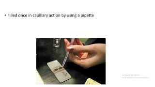 Manual platelet count [upl. by Miles]