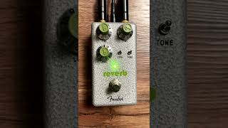 エフェクターペダル「HAMMERTONE™️ PEDALS」 REVERB shorts [upl. by Enamart]