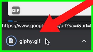 How to Download GIF from Google NEW UPDATE in 2023 [upl. by Leonhard627]