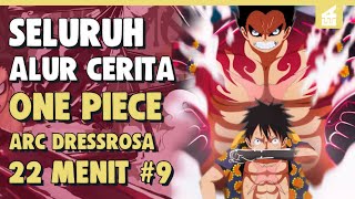 Kemenangan Besar Dan Terbentuknya Aliashi SELURUH ALUR CERITA ONE PIECE ARC DRESSROSA PART 9 [upl. by Philander]