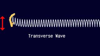 Longitudinal and Transverse Waves [upl. by Ragouzis17]