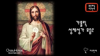 가톨릭 성체성가 모음 2  Collection of Eucharistic Hymns 2  PianoViolin Cover [upl. by Mather]