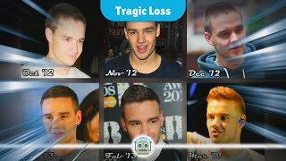 Tragic Loss Liam Payne of One Direction Dies at 31 [upl. by Bloomer]