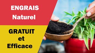 Engrais Naturels Gratuits Efficaces [upl. by Atnahs]