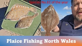 Plaice Fishing North Wales SPECIES NO 61 [upl. by Armand]