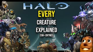 Complete Halo Bestiary  EVERY Creature in Halo Explained  Halo Lore [upl. by Eneres393]