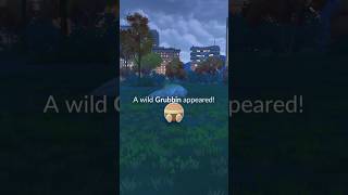 Pokémon Go catch grubbin pokemon pokemoncaught pikachu catchpokemon gottacatchemall pokémongo [upl. by Gaw]