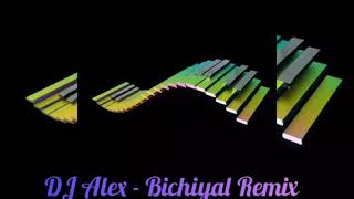 DJ Alex  Bichiyal Remix [upl. by Hardi888]