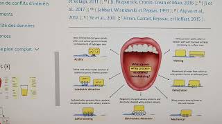 Ils vont rajouter davantage de produits chimiques à ta whey [upl. by Dale753]