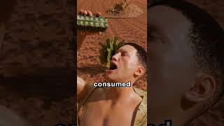 Why You Shouldnt Drink Cactus Water 😱 [upl. by Wandis]