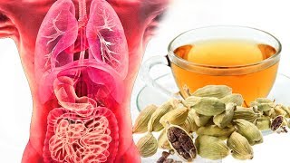 Top 10 Benefits of Cardamom Tea  Health Benefits  Smart Your Health [upl. by Xever]