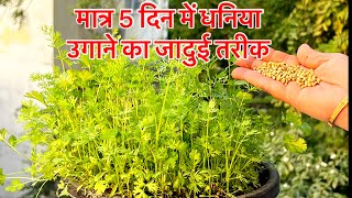 मात्र 5 दिन में धनिया उगाने का जादुई तरीक । How to grow coriander at homedhaniya kaise ugayein [upl. by Assillem788]