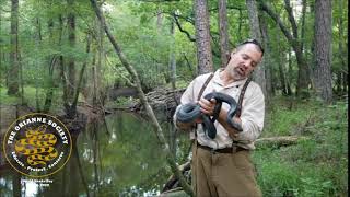 Eastern Indigo Snakes  Habitat [upl. by Uhej]