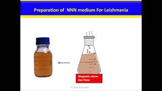 NNN medium for Leishmania Culture [upl. by Yetta]