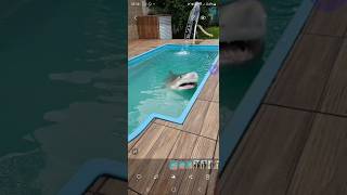 Shark attack draw shark pool galaxyai artificialintelligence [upl. by Blau]