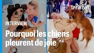 Les chiens pleurent de joie lorsquils retrouvent leur maître «cest lhormone de lattachement» [upl. by Eeuqram]