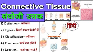 Connective Tissue Explained  Anatomy and Physiology  Connective tissue in Hindi [upl. by Koerlin944]