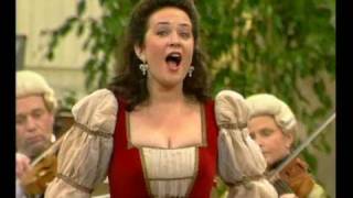 Wiener Mozart Orchester  Don Giovanni Aria Vedrai carino Wiener Mozart Konzerte [upl. by Mcripley]