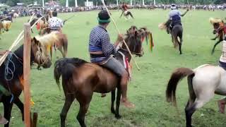 PASOLA WANOKAKA 2024  BUDAYA SUMBA [upl. by Flagler]