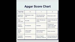 APGAR SCORE short [upl. by Anette139]