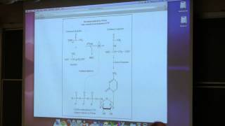 Aherns BB 350 at OSU  10 Enzymes Control I [upl. by Nevag]