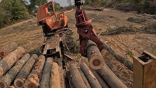 Sawing timber on log yard no talking or music [upl. by Emogene]