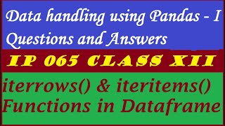 Informatics Practices  QampA  iterrows  iteritems  Data handling using pandas  l  IP Class XII [upl. by Higley]