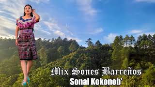 Mix Sones Barreños Con Sonal Kokonob  Audio en Vivo 2024 [upl. by Aniar149]