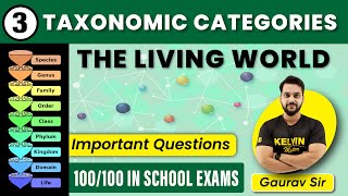 Taxonomy Categories Class 11 Biology  Most Important Questions  THE LIVING WORLD  KELVIN NEET [upl. by Ebberta891]