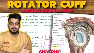 Rotator Cuff  Musculotendinous Cuff  Upper Limb Anatomy [upl. by Vonnie365]