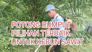 potong rumput sampai bersih jayafitraofficial8119 [upl. by Thisbee]