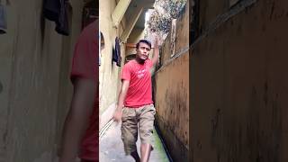 Mahiya tere pyar mein shorts tending dance [upl. by Chemosh]