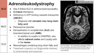 Leukodystrophies ALD MLD and GLD [upl. by Anaeed189]