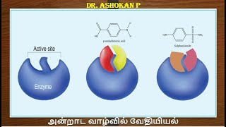 Chemistry in Everyday Life Part 1  Ashokan P nylonpvcterylenepolyamidepolyestertrbtnpscneet [upl. by Betti]