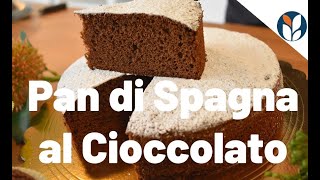 RICETTA PAN DI SPAGNA AL CIOCCOLATO [upl. by Aicat]