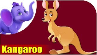 Animal Songs for Kids  Kangaroo Song [upl. by Eitak672]