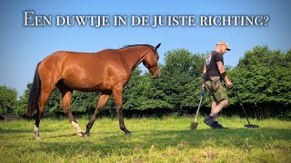 Een duwtje in de juiste richting ZILVER  Metaaldetectie op de Veluwe  26  27 juni 2024 [upl. by Dynah]