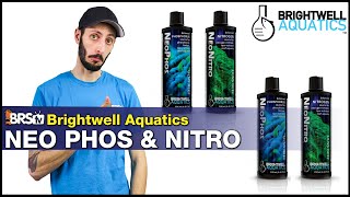 Struggling With Low Nitrates amp Phosphates in Your Reef Tank Brightwell NeoNitro amp NeoPhos Is Here [upl. by Norat668]