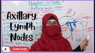 Axillary lymph nodes  chapter 4  axilla  upper limb anatomy  bd churasia [upl. by Lusar684]