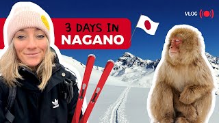 Weekend trip to NAGANO Snow monkeys skiing and Onsen  Japan winter travel VLOG [upl. by Enyt175]